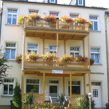 Ferienwohnung Elsterveilchen 100 M Bis Zur Soletherme Und Theater Bad Elster Exterior photo