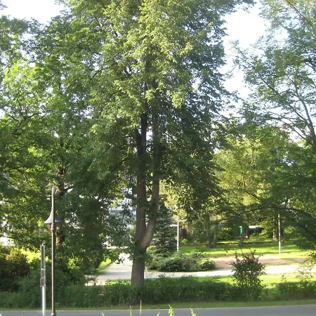 Ferienwohnung Elsterveilchen 100 M Bis Zur Soletherme Und Theater Bad Elster Exterior photo