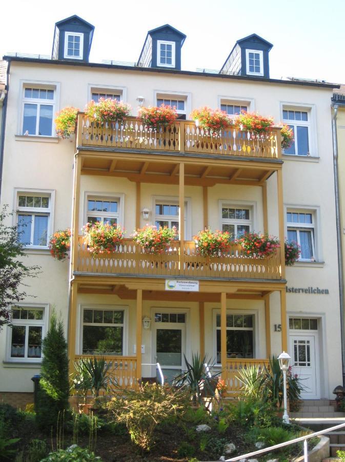 Elsterveilchen 100 M Bis Zur Soletherme Und Theater Apartment Bad Elster