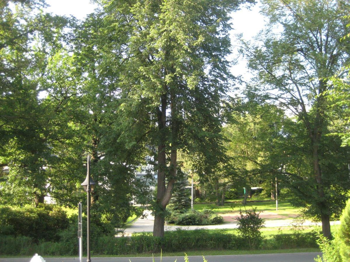 Apartment Elsterveilchen 100 M Bis Zur Soletherme Und Theater